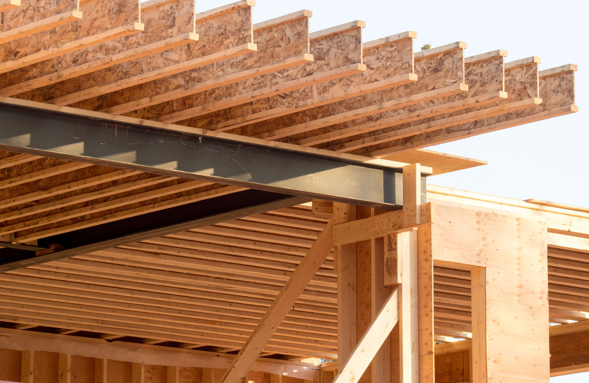 Engineered-Wood-Main