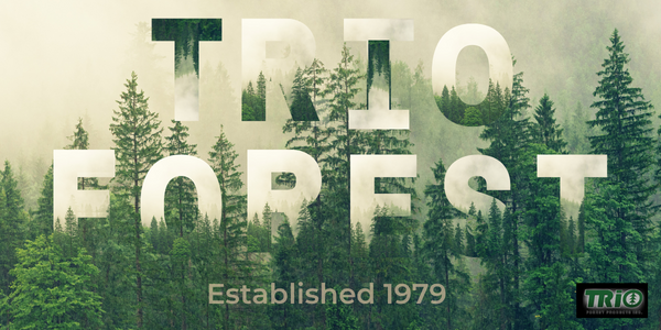 Trio Forest Trees Graphic Established in 1979