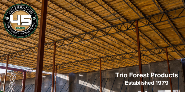 OSB Prices Skyrocket in March 2024