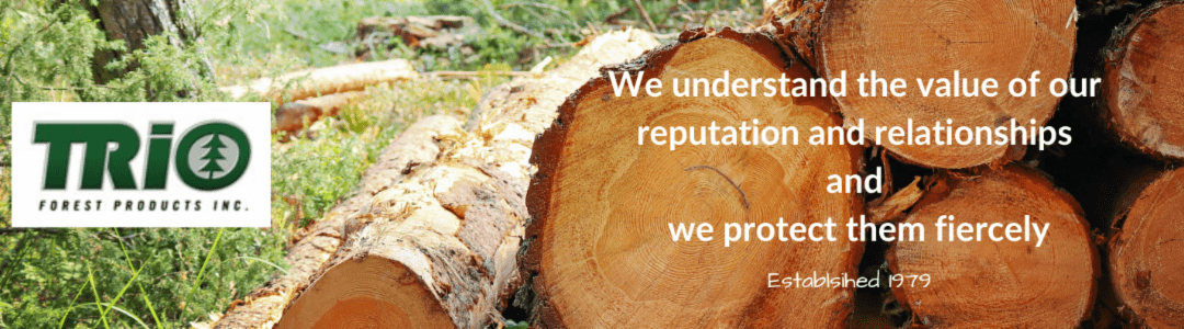 Finding Balance in Today’s Lumber Market