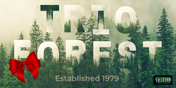 What Will Shape the Lumber Market in 2026? Trends, Risks & Opportunities